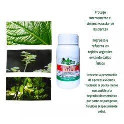Alternative view of Armour Silicio 250 mL - Vital Grow - Aumenta cosecha y desarrolla resistencia a plagas y enfermedades